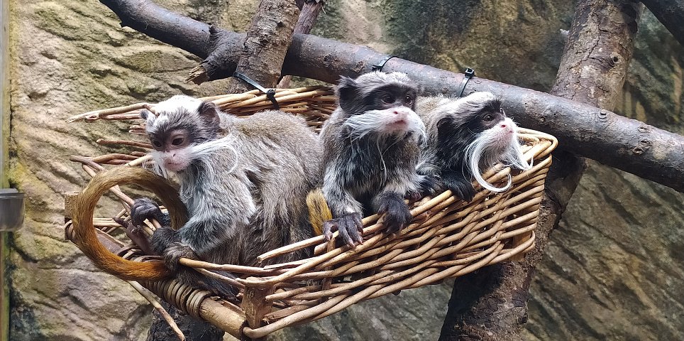 Jihočeská zoologická zahrada Hluboká nad Vltavou