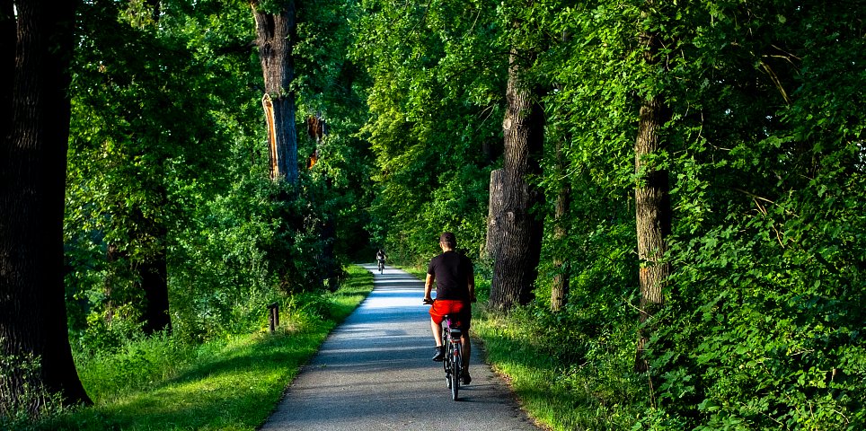 Cyklistická stezka